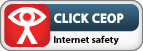 CEOP Report